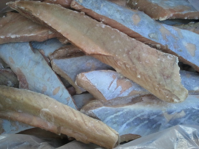 CÁ NGỪ ĐẠI DƯƠNG - THỊT LƯỜN