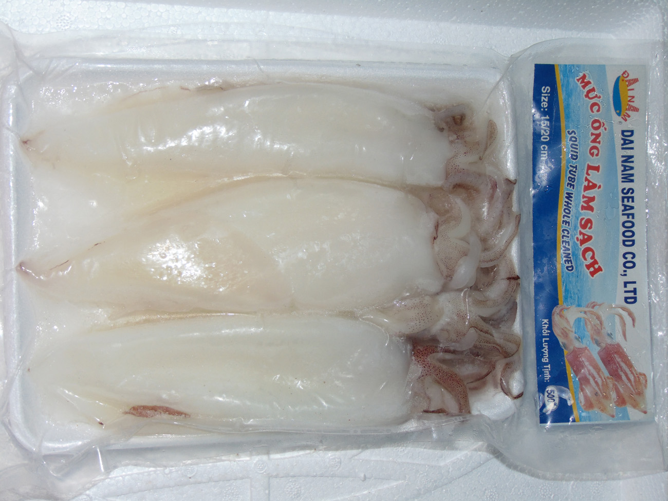 MỰC ỐNG LÀM SẠCH- SIZE 15-20cm