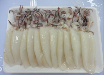 MỰC ỐNG - SIZE 10-12CM