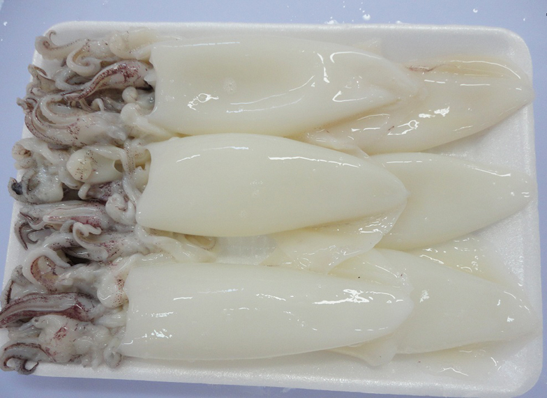 MỰC ỐNG - SIZE 12-15cm